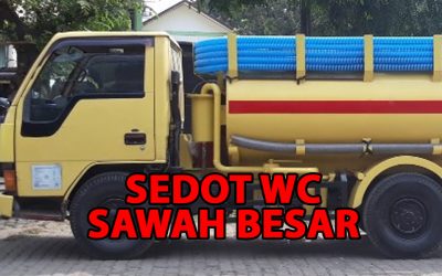 sedot wc Sawah Besar Murah