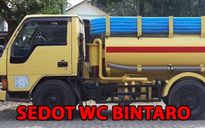 sedot wc Bintaro