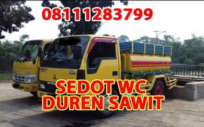 sedot wc Duren Sawit