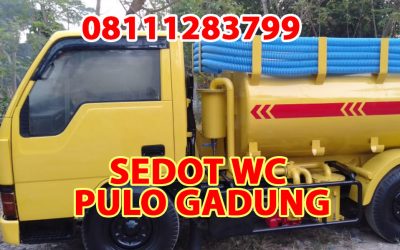 Sedot WC Pulo Gadung
